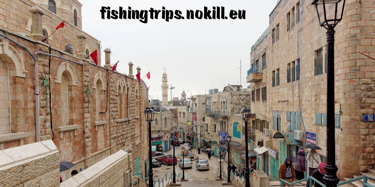 fishingtrips.nokill.eu